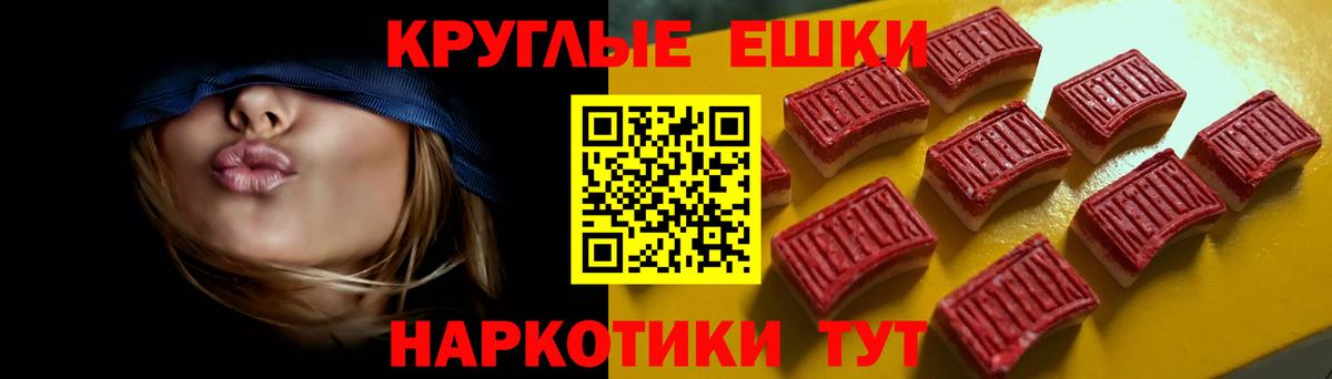 Ecstasy  Экстази Philipp Plein  Вход с VPN  Мелеуз 