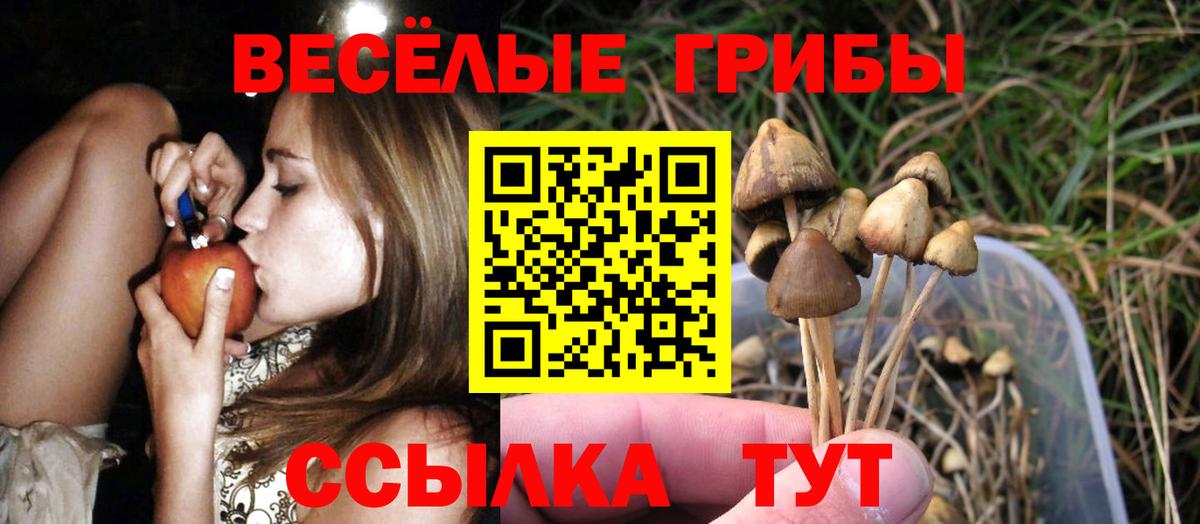 Псилоцибиновые грибы Psilocybine cubensis Мелеуз