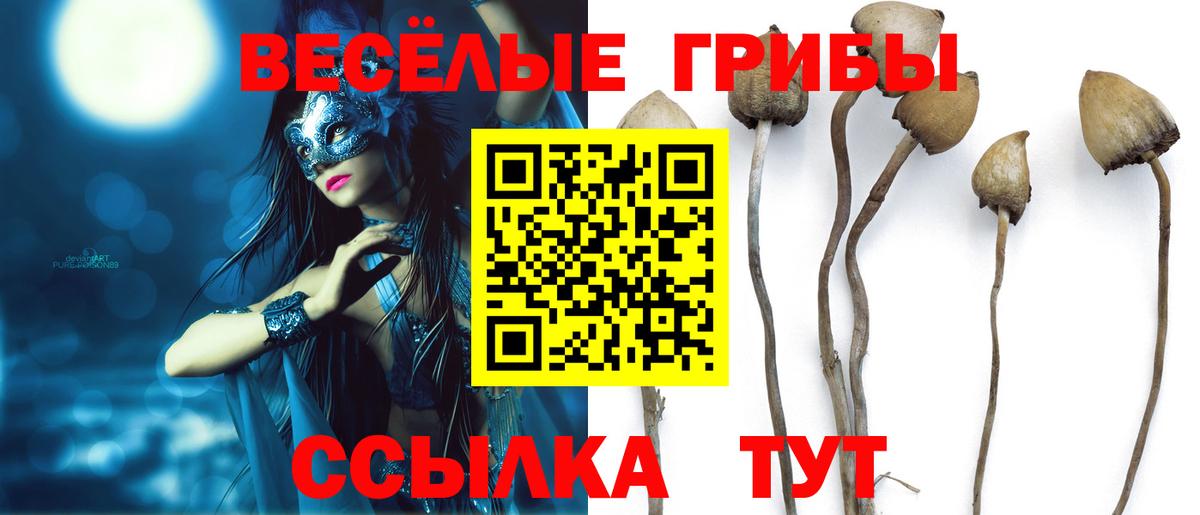 Псилоцибиновые грибы мухоморы  Вход с VPN  Мелеуз 